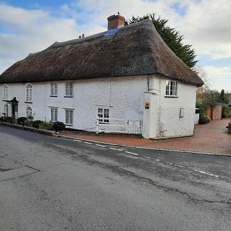 The White Cottage Colyton Luaran gambar